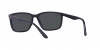 RB4384L Sunglasses