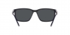 RB4384L Sunglasses