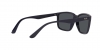 RB4384L Sunglasses