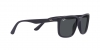 RB4384L Sunglasses