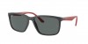 RB4384L Sunglasses