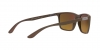 RB4385 Sunglasses