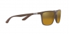 RB4385 Sunglasses