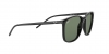 RB4387F Sunglasses