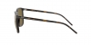 RB4387F Sunglasses