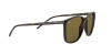 RB4387F Sunglasses