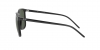 RB4387 Sunglasses