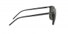 RB4387 Sunglasses