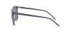 RB4387 Sunglasses