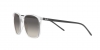 RB4387 Sunglasses