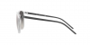 RB4387 Sunglasses