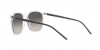 RB4387 Sunglasses
