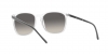 RB4387 Sunglasses
