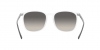 RB4387 Sunglasses