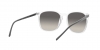 RB4387 Sunglasses