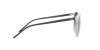 RB4387 Sunglasses