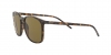 RB4387 Sunglasses