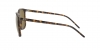 RB4387 Sunglasses