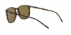 RB4387 Sunglasses