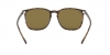 RB4387 Sunglasses