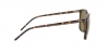 RB4387 Sunglasses