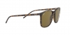 RB4387 Sunglasses