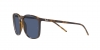 RB4387 Sunglasses