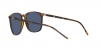 RB4387 Sunglasses