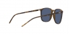 RB4387 Sunglasses