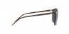 RB4387 Sunglasses