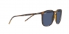 RB4387 Sunglasses