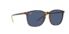 RB4387 Sunglasses