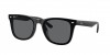 RB4391D Sunglasses