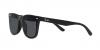 RB4391D Sunglasses