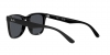 RB4391D Sunglasses
