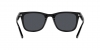 RB4391D Sunglasses