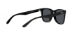 RB4391D Sunglasses