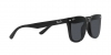 RB4391D Sunglasses