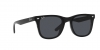 RB4391D Sunglasses