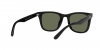RB4391D Sunglasses