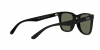 RB4391D Sunglasses