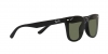 RB4391D Sunglasses