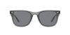 RB4391D Sunglasses