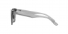 RB4391D Sunglasses