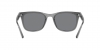 RB4391D Sunglasses