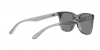 RB4391D Sunglasses