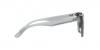 RB4391D Sunglasses