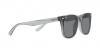 RB4391D Sunglasses