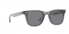 RB4391D Sunglasses