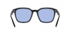 RB4392D Sunglasses
